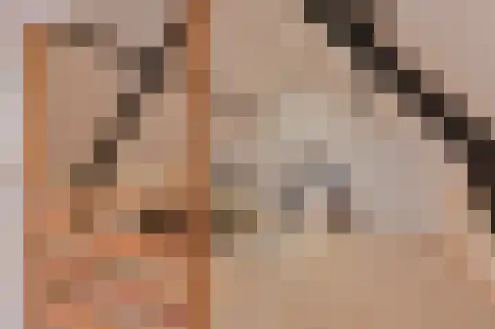 De Trippen 52 Nieuw-Weerdinge thumbnail 63
