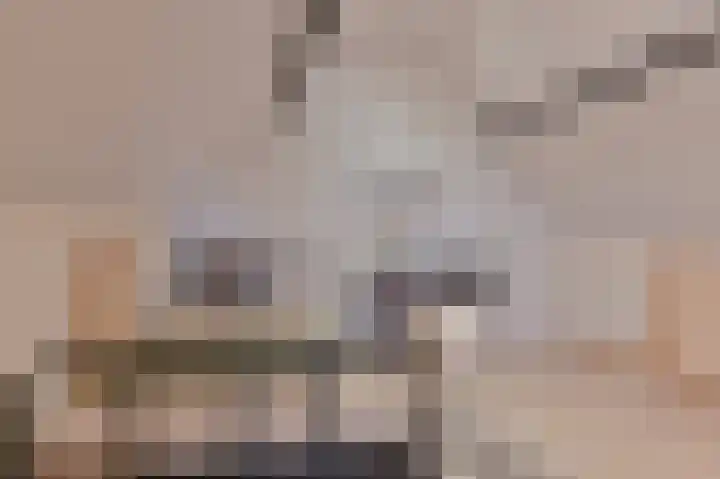 De Trippen 52 Nieuw-Weerdinge thumbnail 64