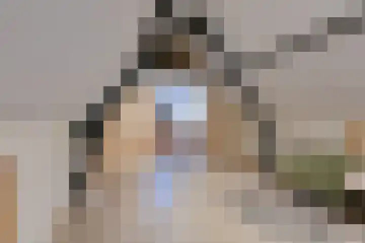 De Trippen 52 Nieuw-Weerdinge thumbnail 67