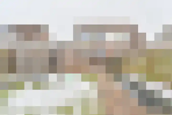De Trippen 52 Nieuw-Weerdinge thumbnail 72