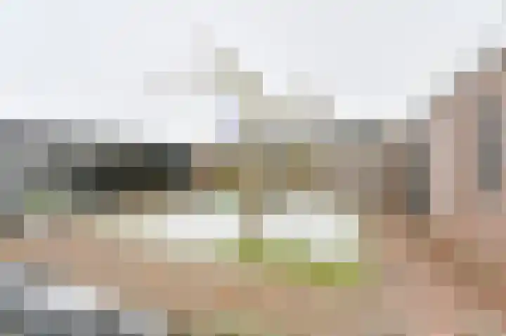 De Trippen 52 Nieuw-Weerdinge thumbnail 73