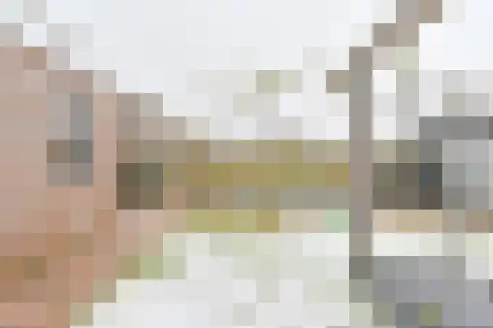De Trippen 52 Nieuw-Weerdinge thumbnail 74