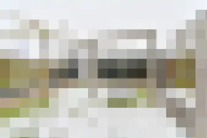 De Trippen 52 Nieuw-Weerdinge thumbnail 75