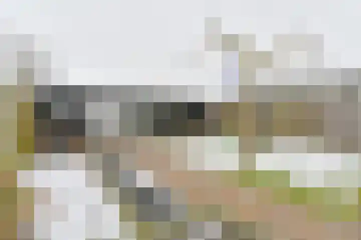 De Trippen 52 Nieuw-Weerdinge thumbnail 77