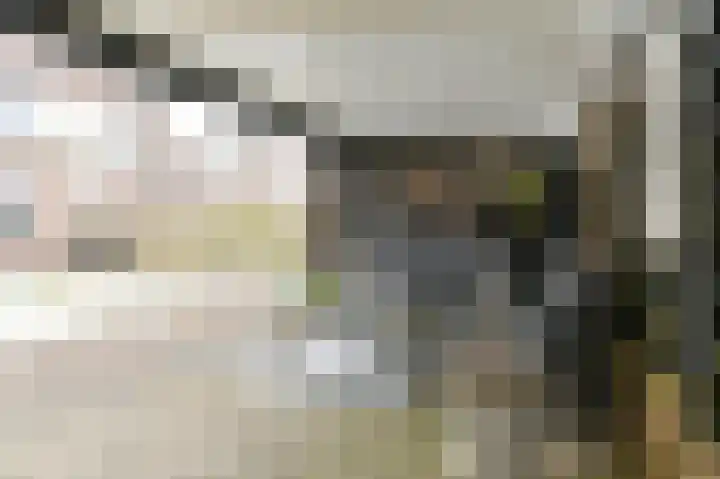 De Trippen 52 Nieuw-Weerdinge thumbnail 79