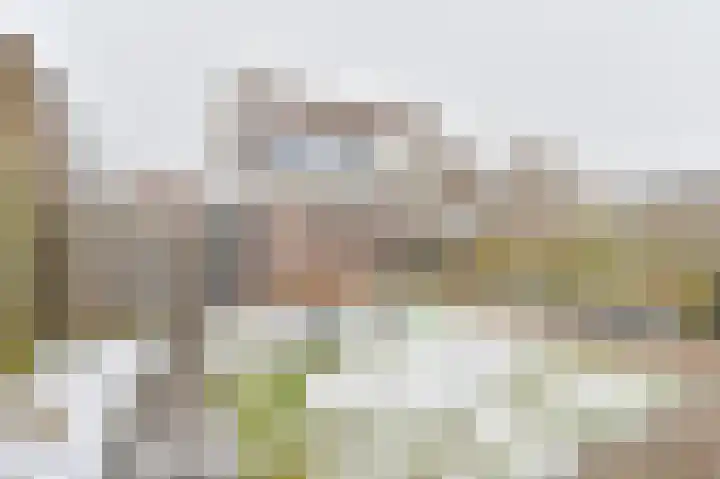 De Trippen 52 Nieuw-Weerdinge thumbnail 80