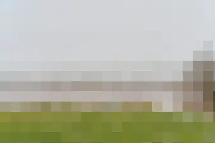 De Trippen 52 Nieuw-Weerdinge thumbnail 81