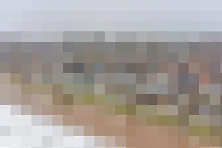 De Trippen 52 Nieuw-Weerdinge thumbnail 84