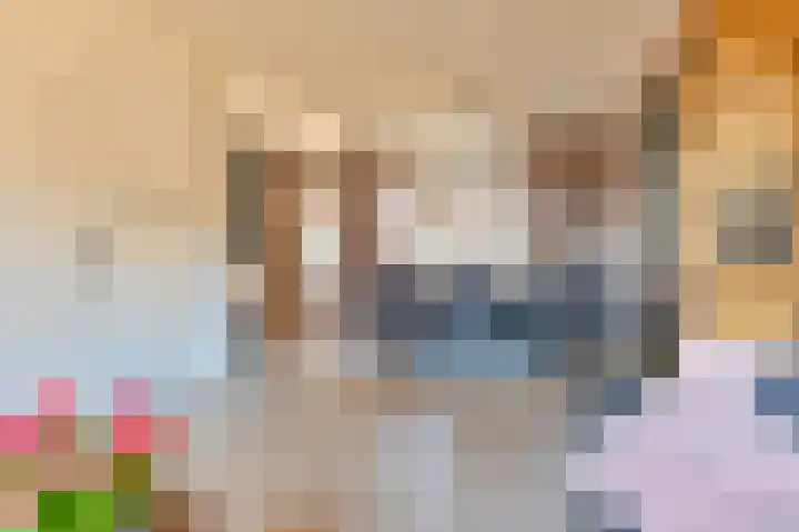 De Trippen 8 Nieuw-Weerdinge thumbnail 12