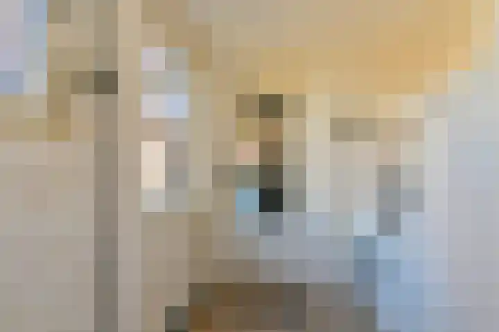 De Trippen 8 Nieuw-Weerdinge thumbnail 24
