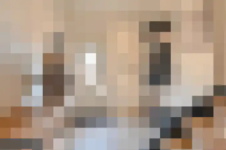 De Trippen 8 Nieuw-Weerdinge thumbnail 4