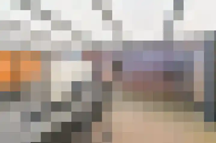 De Trippen 8 Nieuw-Weerdinge thumbnail 64