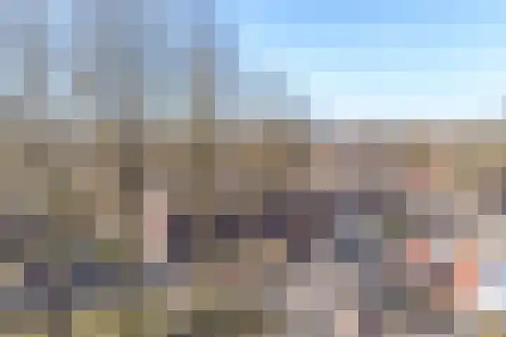 De Trippen 8 Nieuw-Weerdinge thumbnail 76