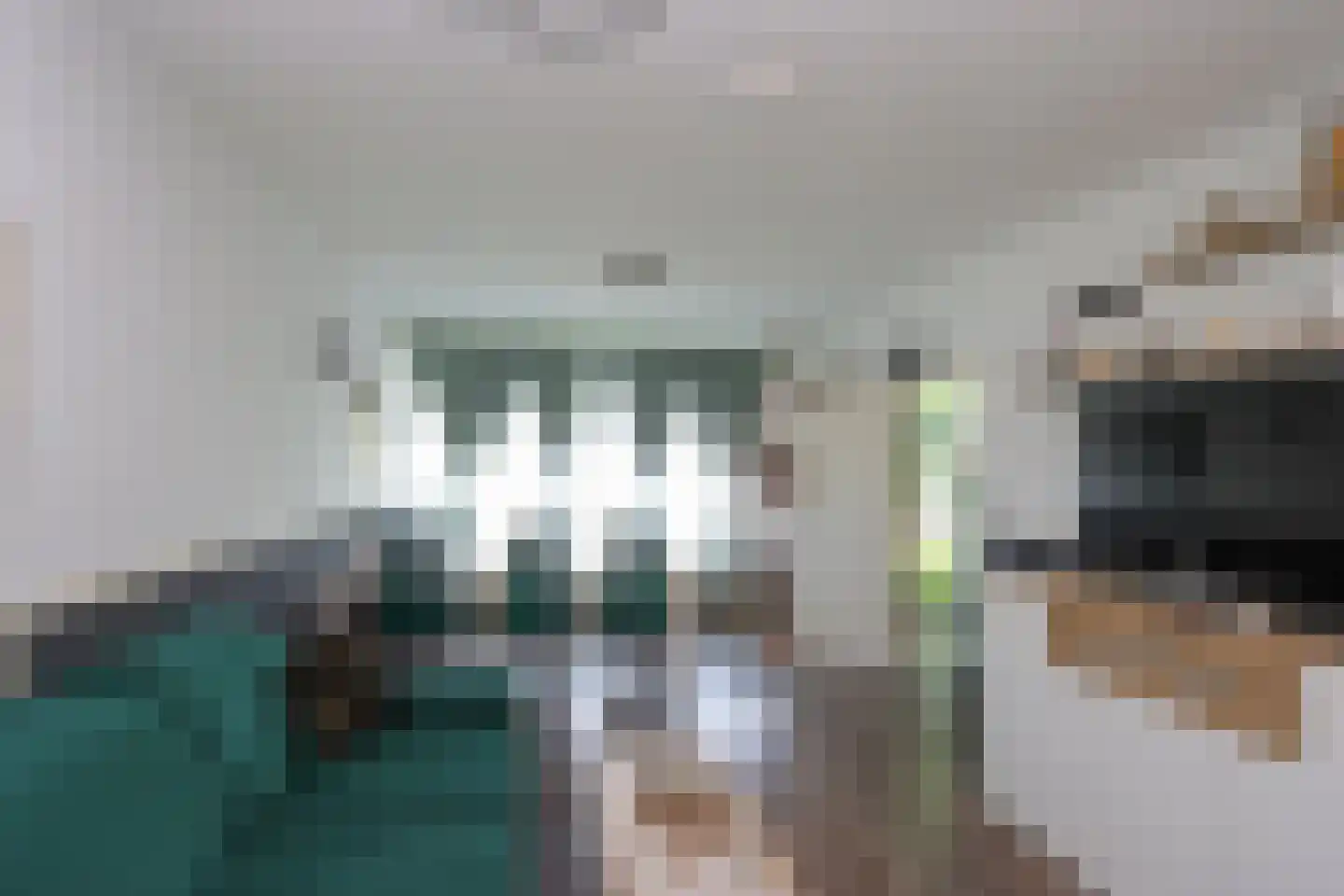 De Trompettershof 2 Swifterbant thumbnail 10