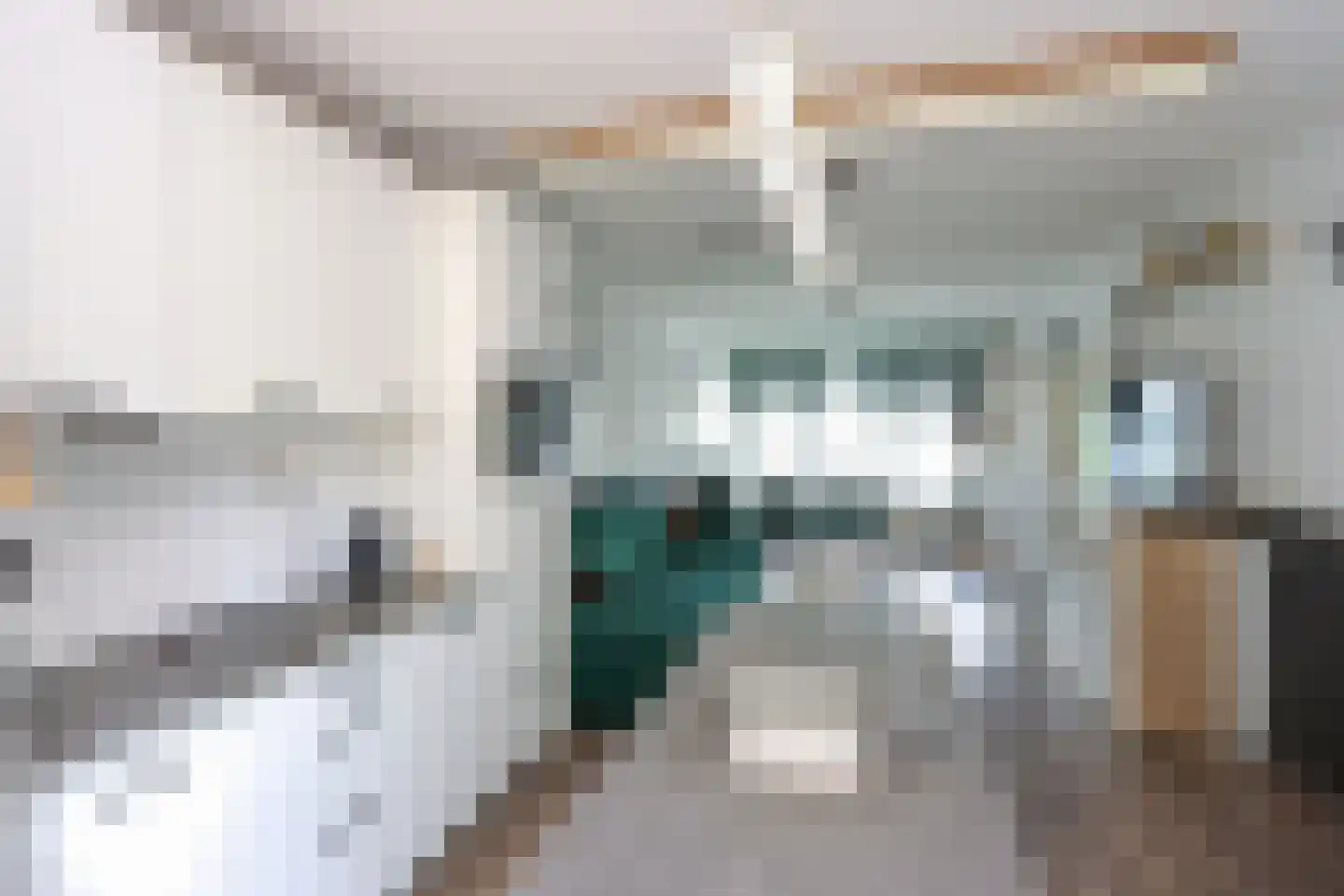 De Trompettershof 2 Swifterbant thumbnail 13