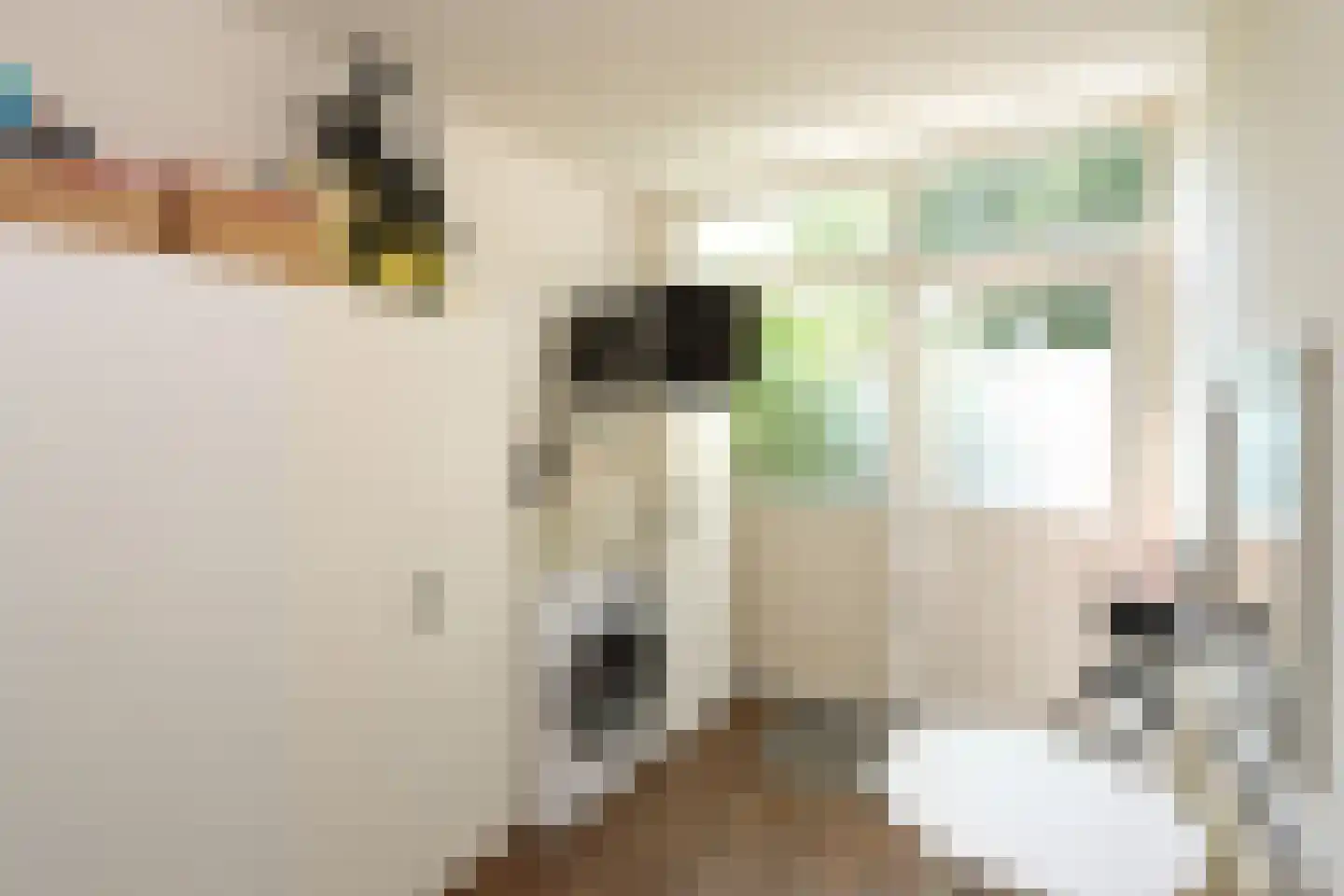 De Trompettershof 2 Swifterbant thumbnail 14