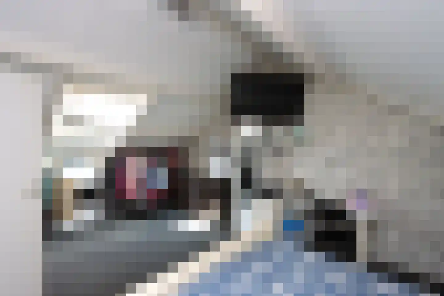 De Trompettershof 2 Swifterbant thumbnail 26