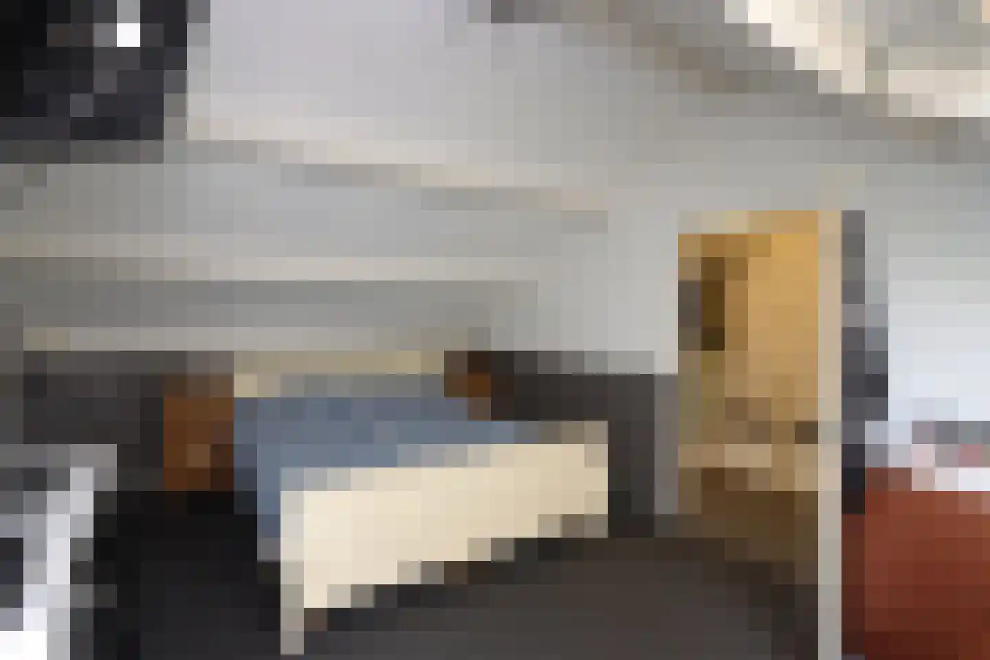 De Trompettershof 2 Swifterbant thumbnail 28