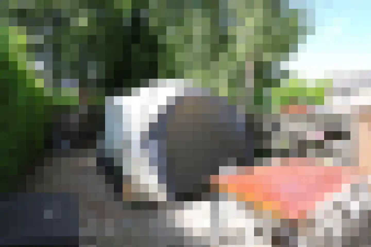 De Trompettershof 2 Swifterbant thumbnail 30