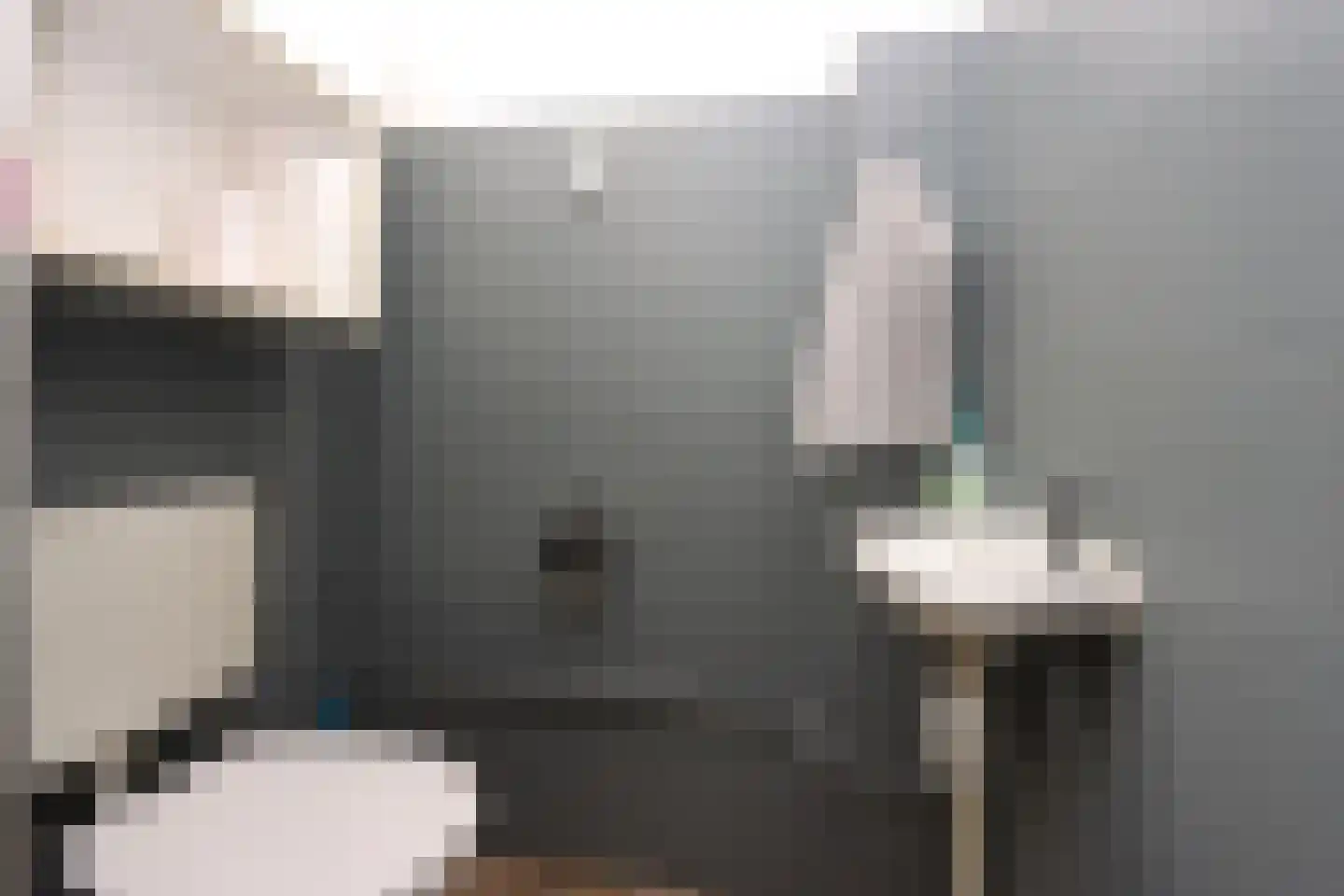 De Trompettershof 2 Swifterbant thumbnail 7