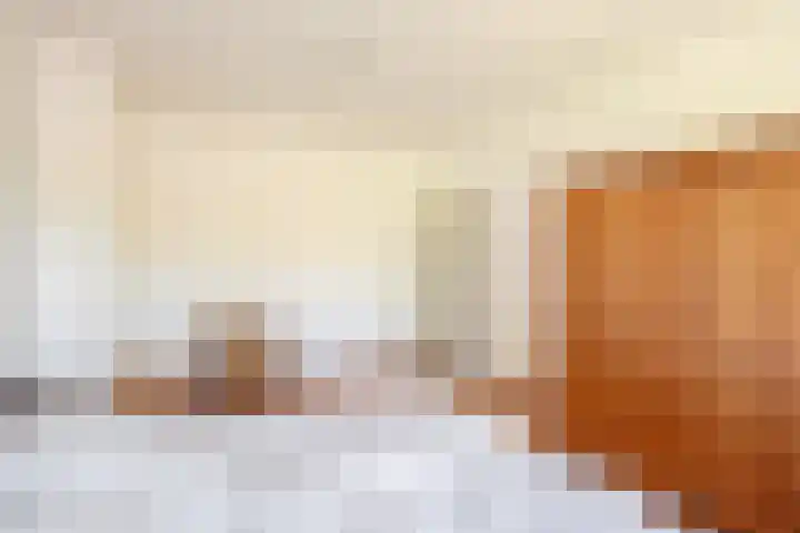 De Trompettershof 6 Swifterbant thumbnail 18