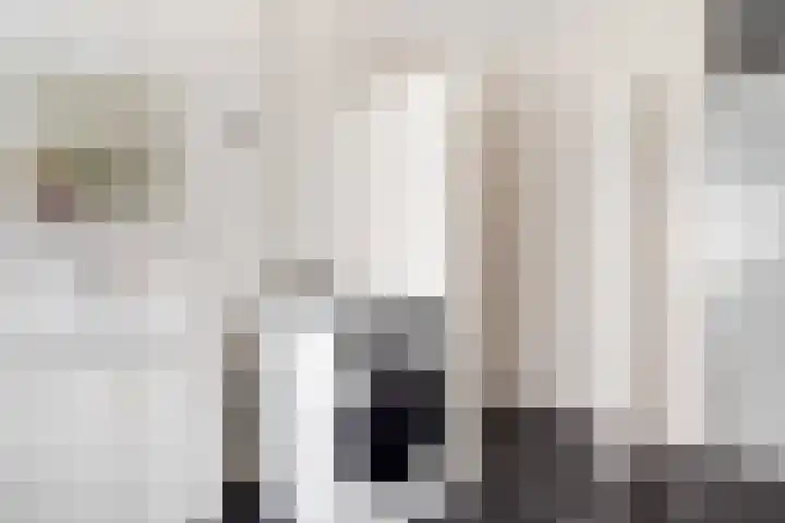 De Trompettershof 6 Swifterbant thumbnail 22