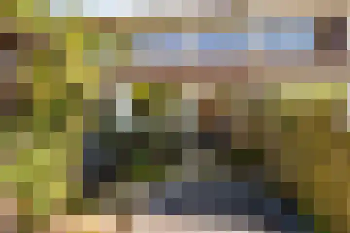 De Trompettershof 6 Swifterbant thumbnail 26