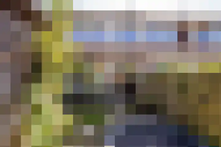 De Trompettershof 6 Swifterbant thumbnail 27