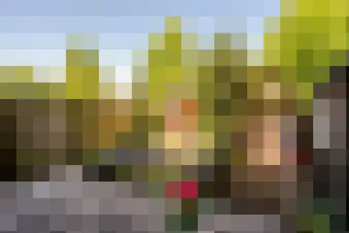 De Trompettershof 6 Swifterbant thumbnail 28