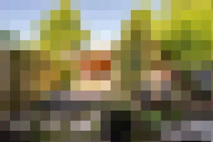 De Trompettershof 6 Swifterbant thumbnail 29