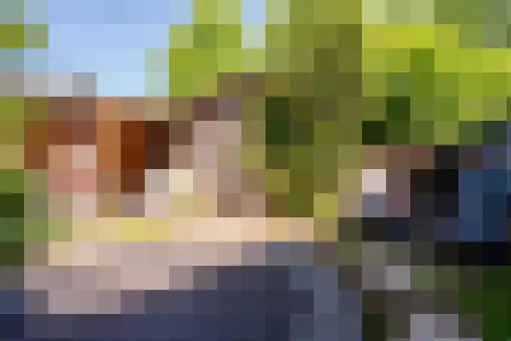 De Trompettershof 6 Swifterbant thumbnail 30