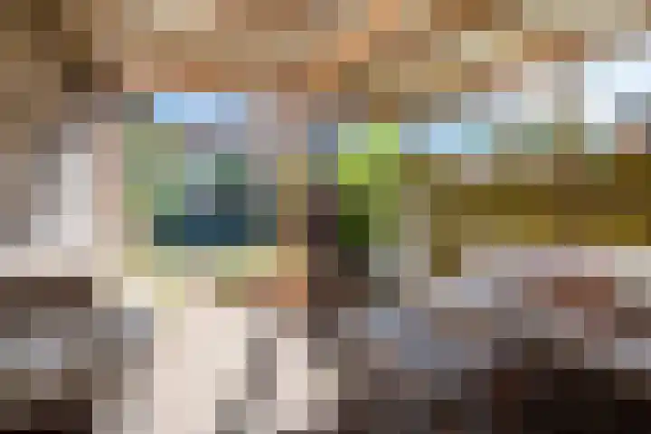De Trompettershof 6 Swifterbant thumbnail 31