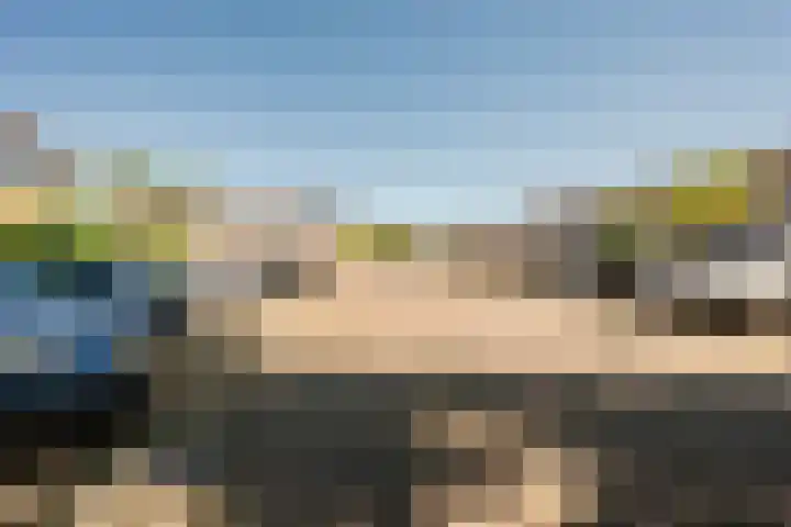 De Trompettershof 6 Swifterbant thumbnail 35