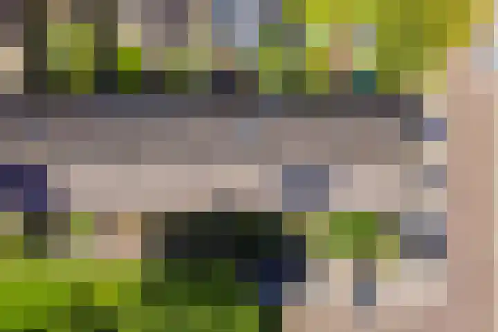 De Trompettershof 6 Swifterbant thumbnail 36