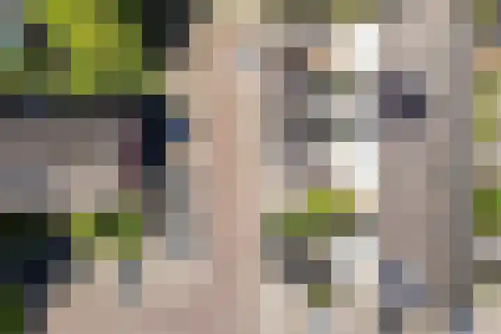 De Trompettershof 6 Swifterbant thumbnail 38