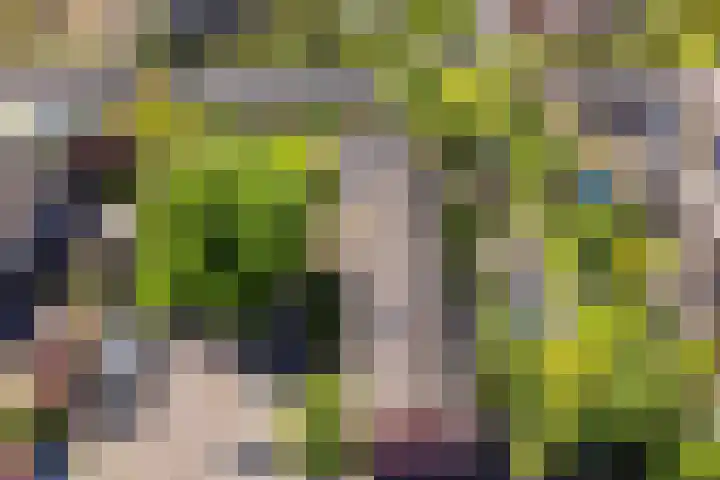 De Trompettershof 6 Swifterbant thumbnail 39