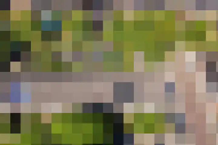 De Trompettershof 6 Swifterbant thumbnail 40