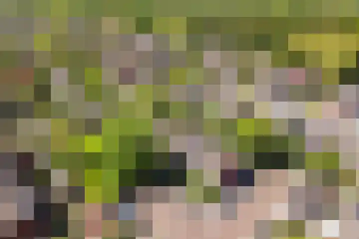 De Trompettershof 6 Swifterbant thumbnail 41