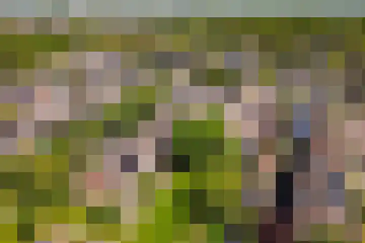 De Trompettershof 6 Swifterbant thumbnail 42