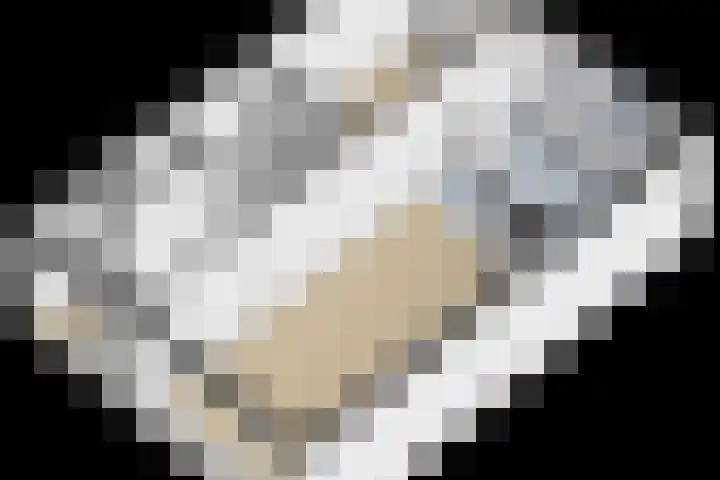 De Trompettershof 6 Swifterbant thumbnail 47