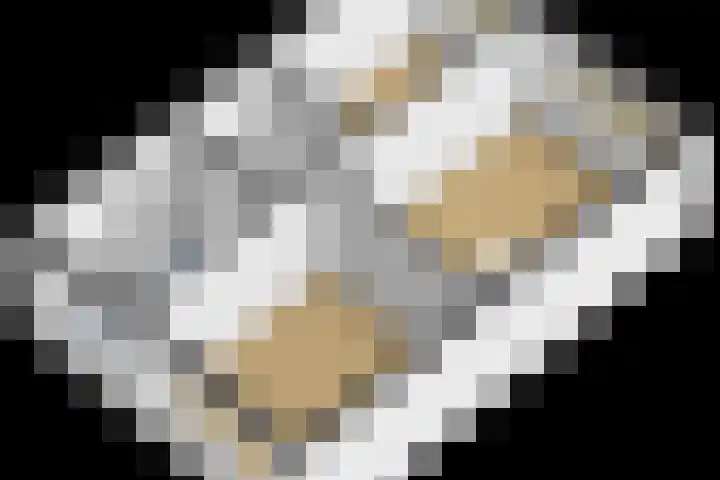De Trompettershof 6 Swifterbant thumbnail 48