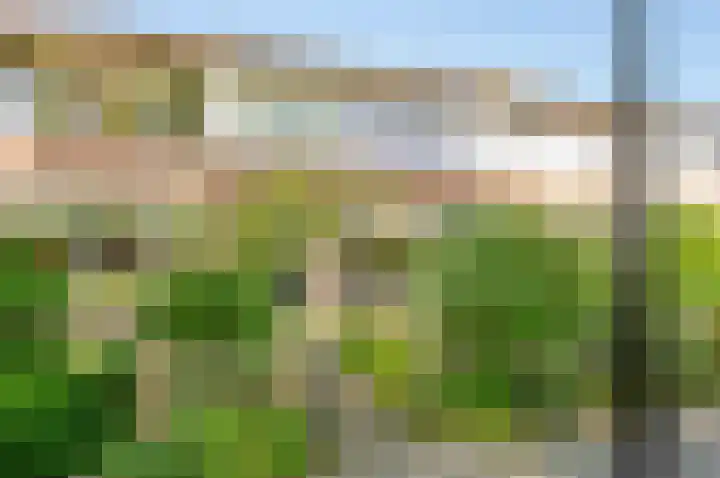 De Trompettershof 6 Swifterbant thumbnail 51