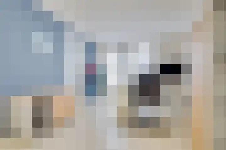 De Trub 12 's-Hertogenbosch thumbnail 13