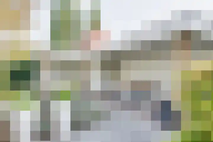 De Trub 12 's-Hertogenbosch thumbnail 30