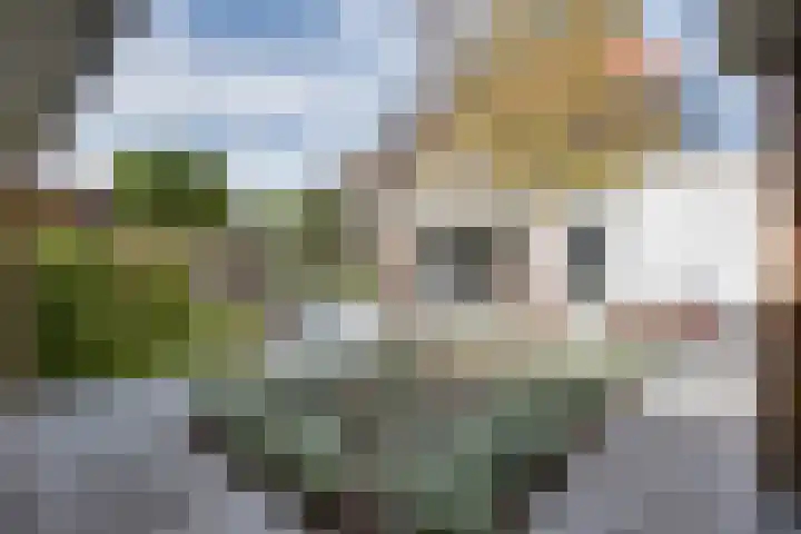 De Trub 12 's-Hertogenbosch thumbnail 32