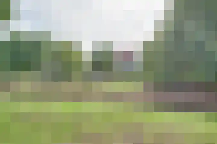 De Trub 12 's-Hertogenbosch thumbnail 34