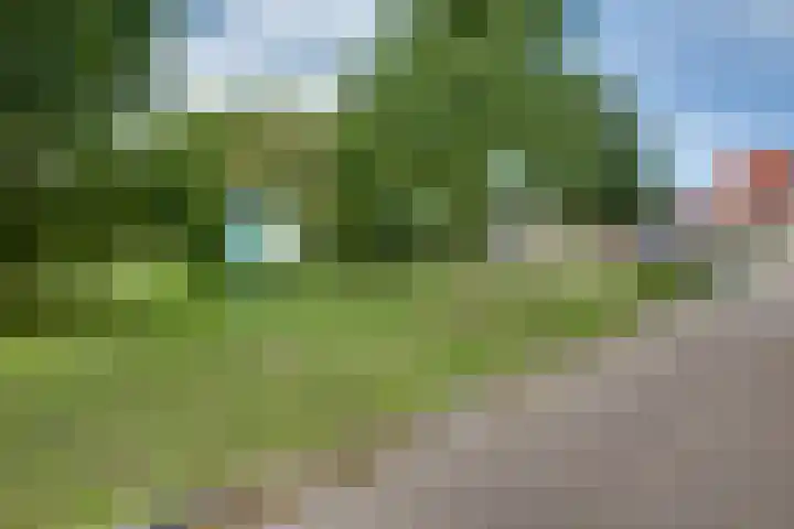 De Trub 12 's-Hertogenbosch thumbnail 35