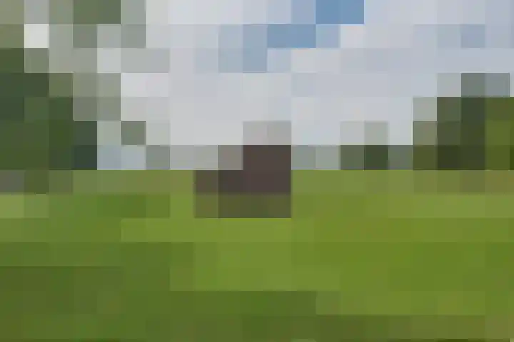 De Trub 12 's-Hertogenbosch thumbnail 36
