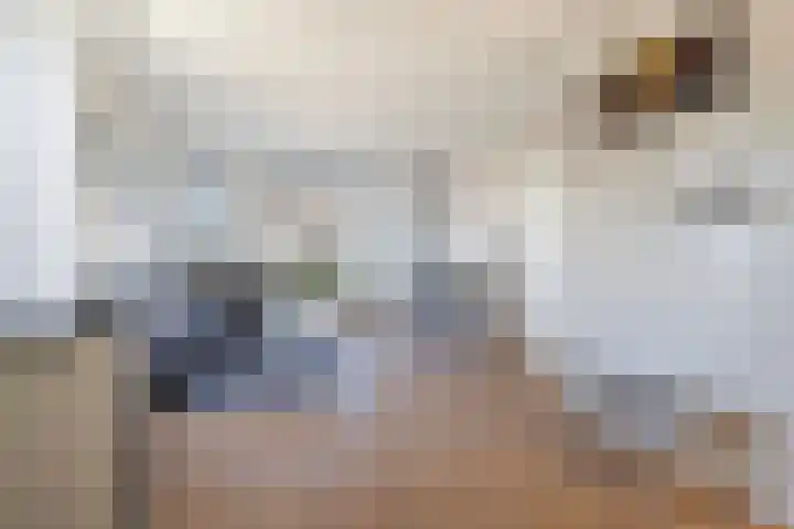 De Tsjalk 10 Hallum thumbnail 9