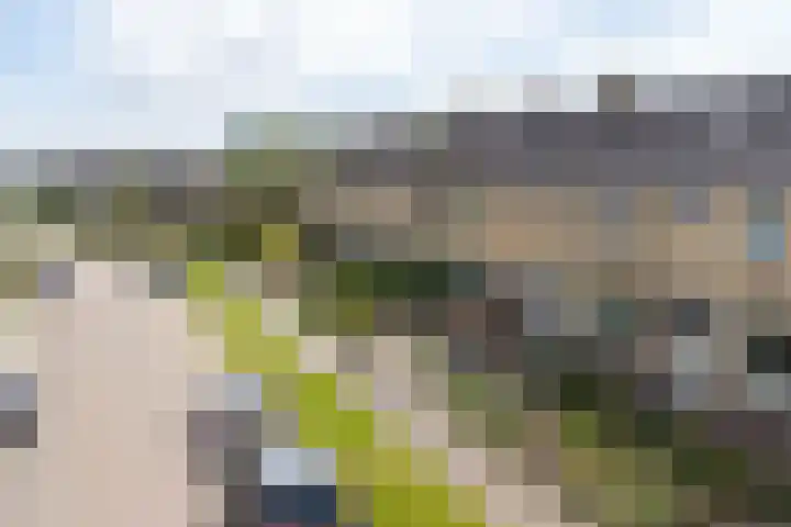 De Tsjalk 11 Grou thumbnail 10